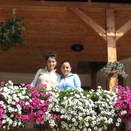 Guest house Vila Apuseni