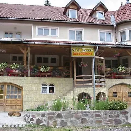 Vila Apuseni Guest house Arieseni